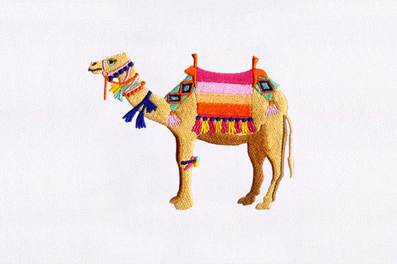 A Practical Review of the Camel Embroidery Design for Your Shop